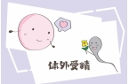 试管移植后胸腔积液会不会影响着床